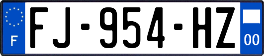 FJ-954-HZ