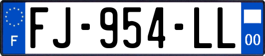 FJ-954-LL