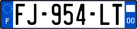 FJ-954-LT
