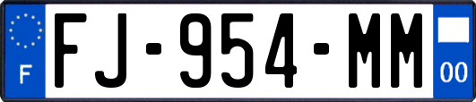 FJ-954-MM