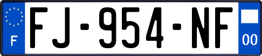 FJ-954-NF