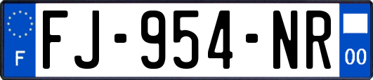 FJ-954-NR
