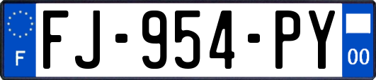 FJ-954-PY