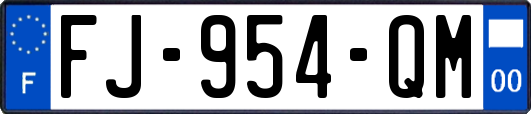 FJ-954-QM