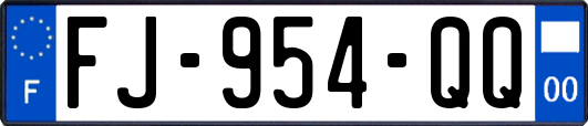 FJ-954-QQ