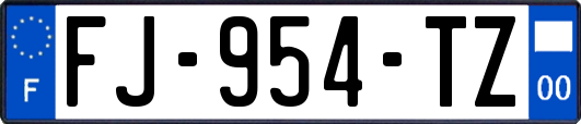 FJ-954-TZ