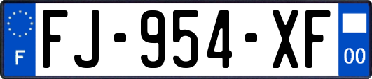 FJ-954-XF