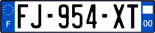 FJ-954-XT