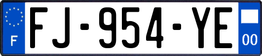 FJ-954-YE