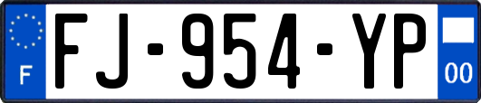 FJ-954-YP