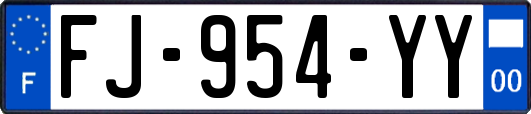 FJ-954-YY