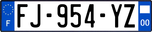FJ-954-YZ