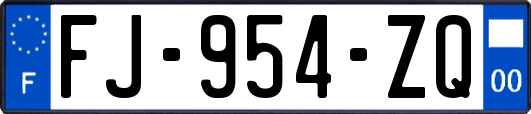 FJ-954-ZQ