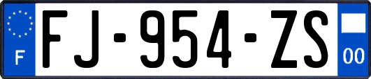 FJ-954-ZS