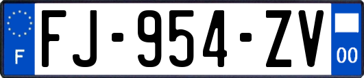 FJ-954-ZV