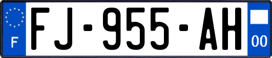 FJ-955-AH