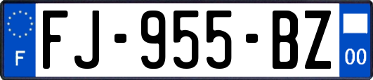 FJ-955-BZ