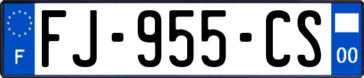 FJ-955-CS