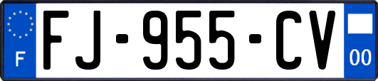 FJ-955-CV