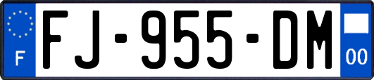 FJ-955-DM