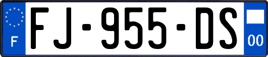 FJ-955-DS