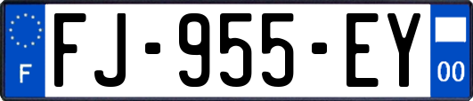 FJ-955-EY