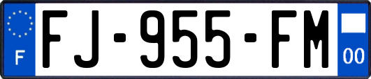 FJ-955-FM