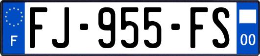 FJ-955-FS