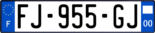 FJ-955-GJ