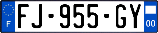 FJ-955-GY