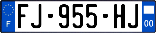 FJ-955-HJ