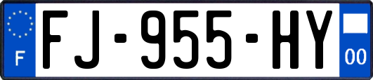 FJ-955-HY