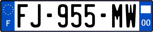 FJ-955-MW