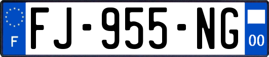 FJ-955-NG