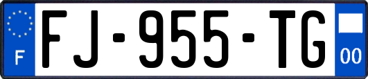 FJ-955-TG