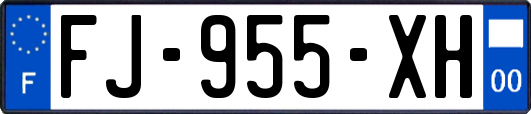 FJ-955-XH