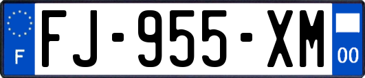FJ-955-XM