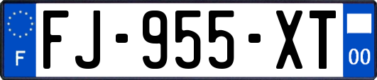FJ-955-XT