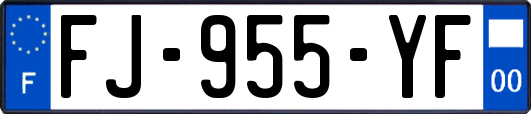 FJ-955-YF