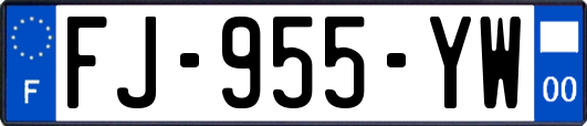 FJ-955-YW