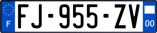 FJ-955-ZV