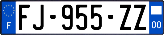 FJ-955-ZZ