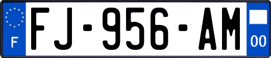 FJ-956-AM