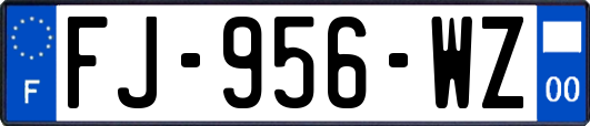 FJ-956-WZ