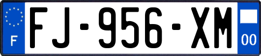 FJ-956-XM