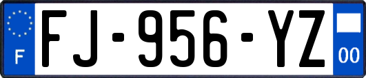 FJ-956-YZ