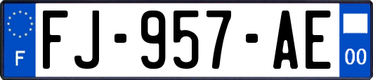 FJ-957-AE