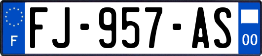 FJ-957-AS