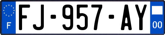 FJ-957-AY