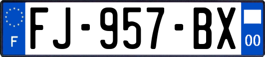 FJ-957-BX